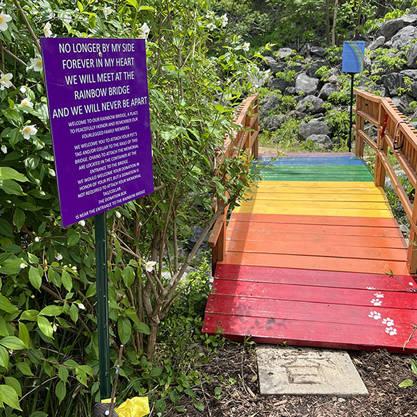 Garden Highlights Lake Lure Flowering Bridge