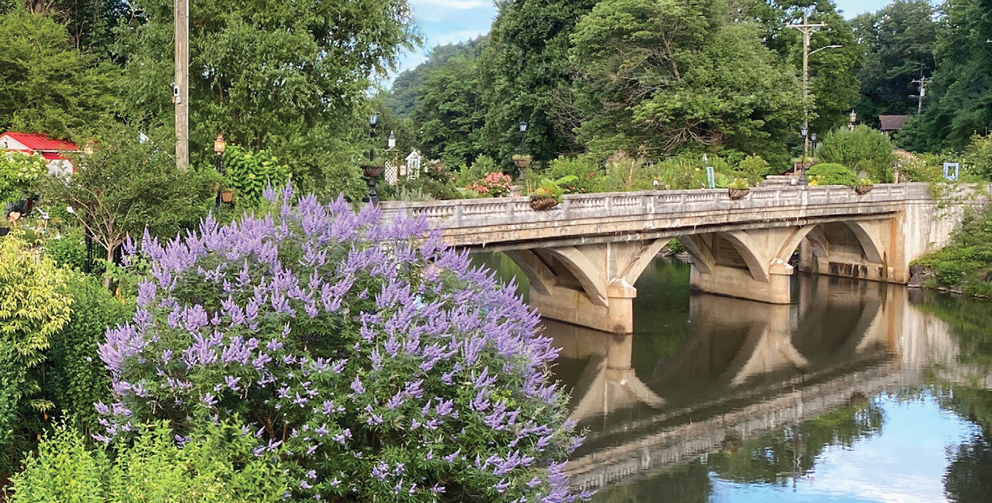 Lake Lure Flowering Bridge