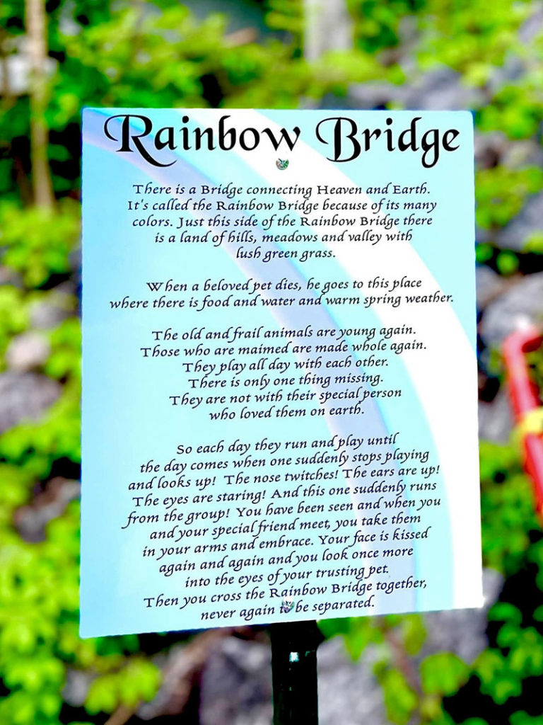 The Rainbow Bridge poem.