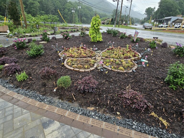 Butterfly Haven Garden