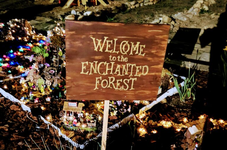 Woodland Fairy Garden