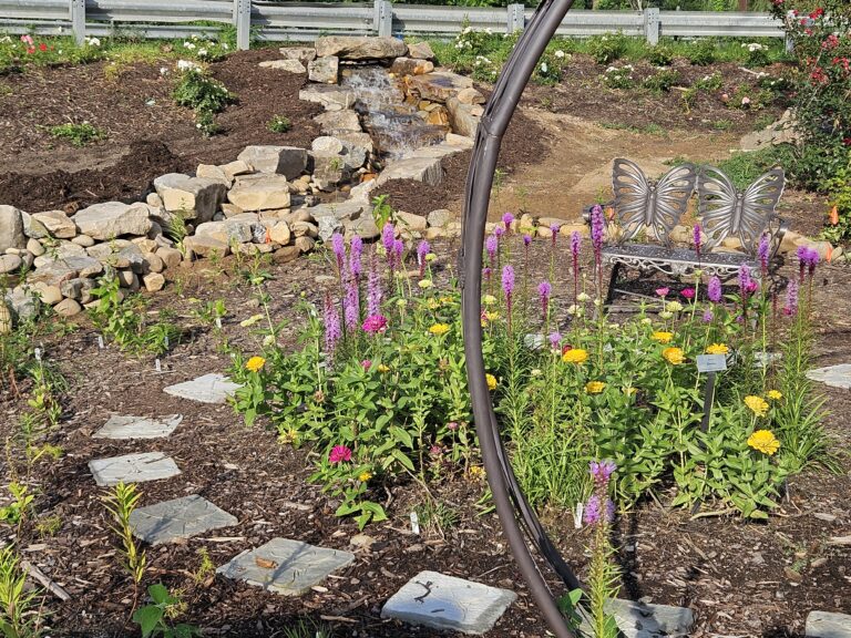 Pollinator Pathway