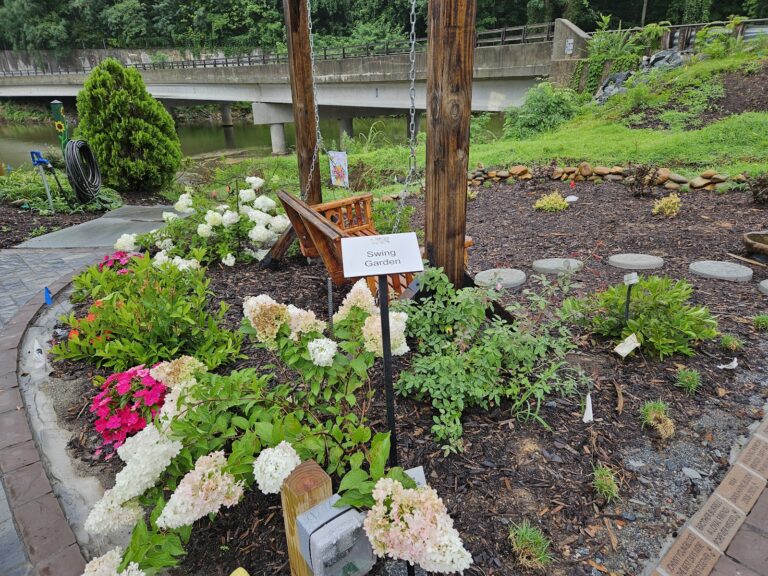 A Swing With a View Garden